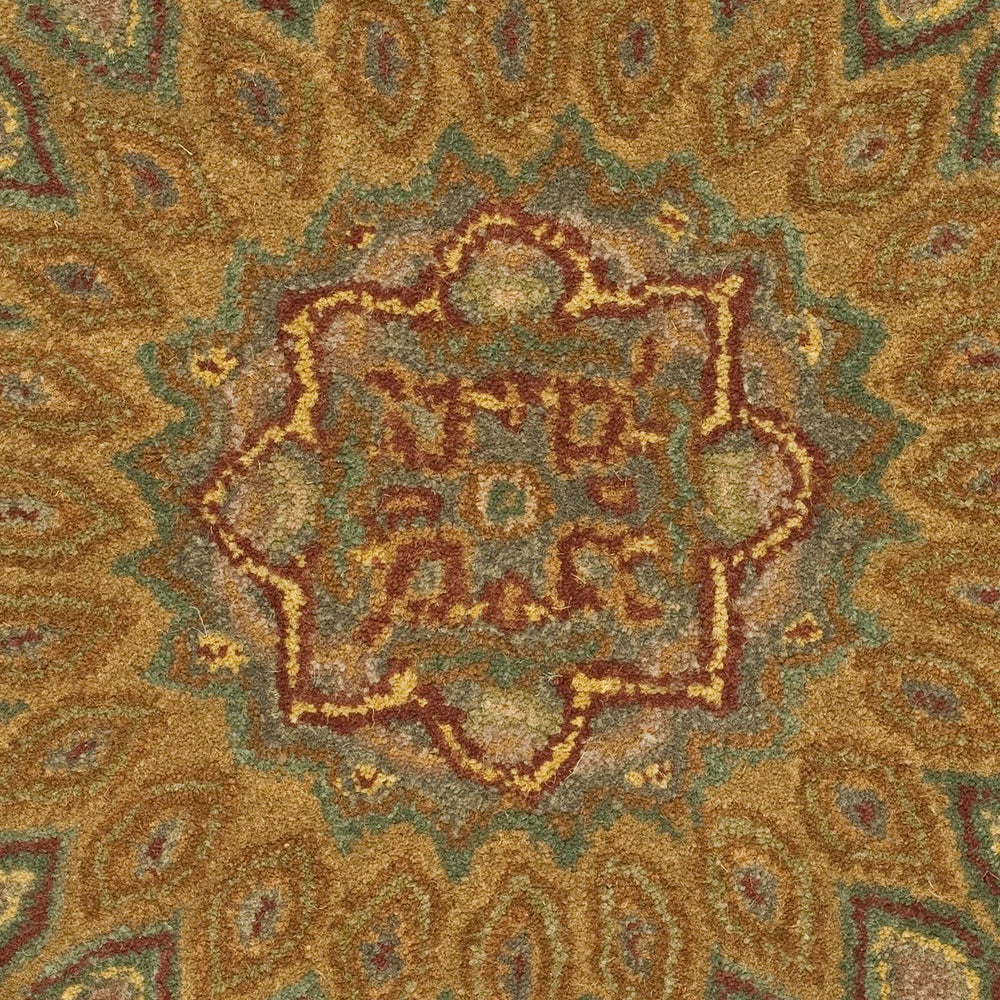 Safavieh Heritage HG914 Hand Tufted Rug