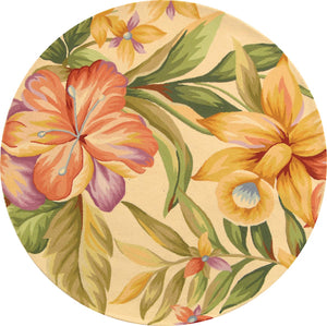 Safavieh Hk212 Hand Hooked Wool Pile Rug HK212A-4R