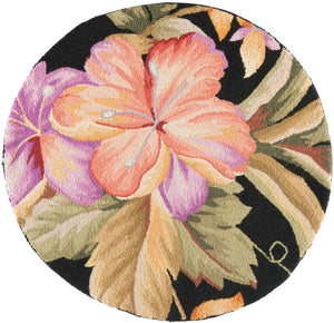 Safavieh Hk212 Hand Hooked Wool Pile Rug HK212B-4R