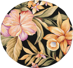 Safavieh Hk212 Hand Hooked Wool Pile Rug HK212B-4R