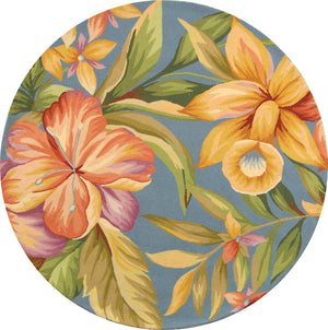 Safavieh Hk212 Hand Hooked Wool Pile Rug HK212C-4R