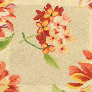 Safavieh HK216 Hand Hooked Rug