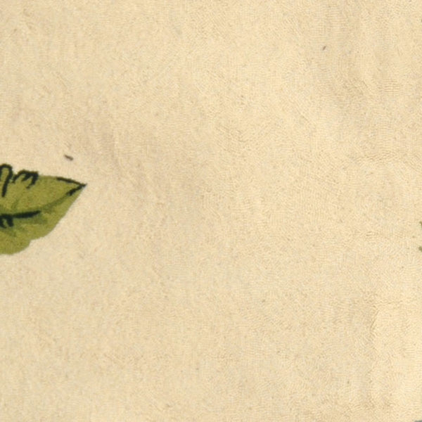 Safavieh Chelsea HK295 Hand Hooked Rug