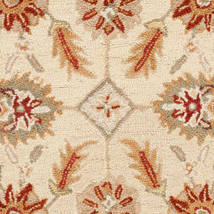 Safavieh Chelsea HK719 Hand Hooked Rug