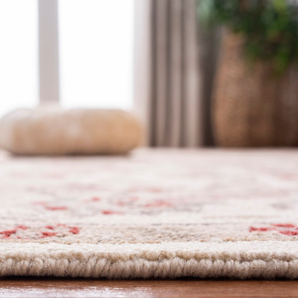 Safavieh Hk78 Hand Hooked Wool Rug HK78C-4R