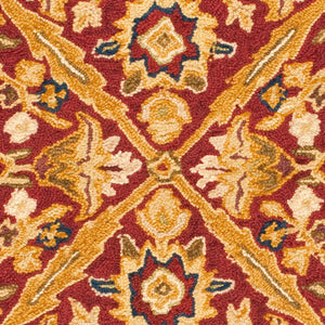 Safavieh HK816 Hand Hooked Rug