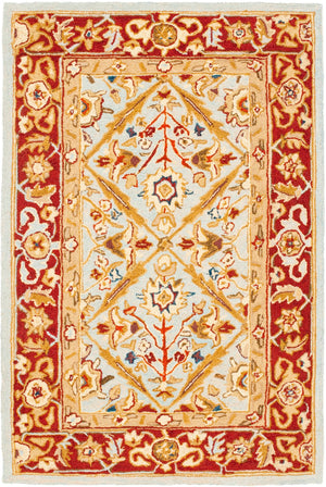 Safavieh HK816 Hand Hooked Rug