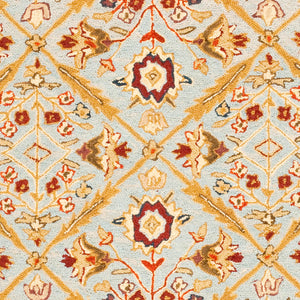 Safavieh HK816 Hand Hooked Rug