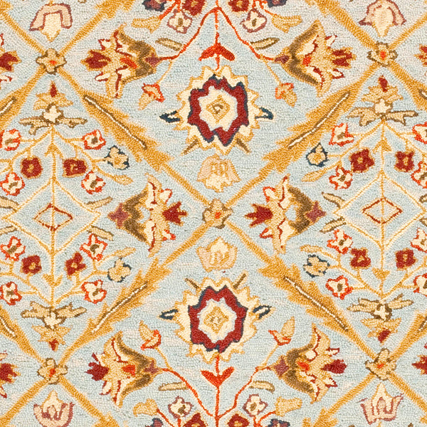 Safavieh HK816 Hand Hooked Rug