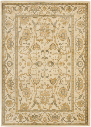 Safavieh Hlm1666 651 Power Loomed Rug