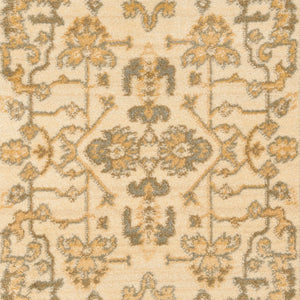 Safavieh Hlm1666 651 Power Loomed Rug