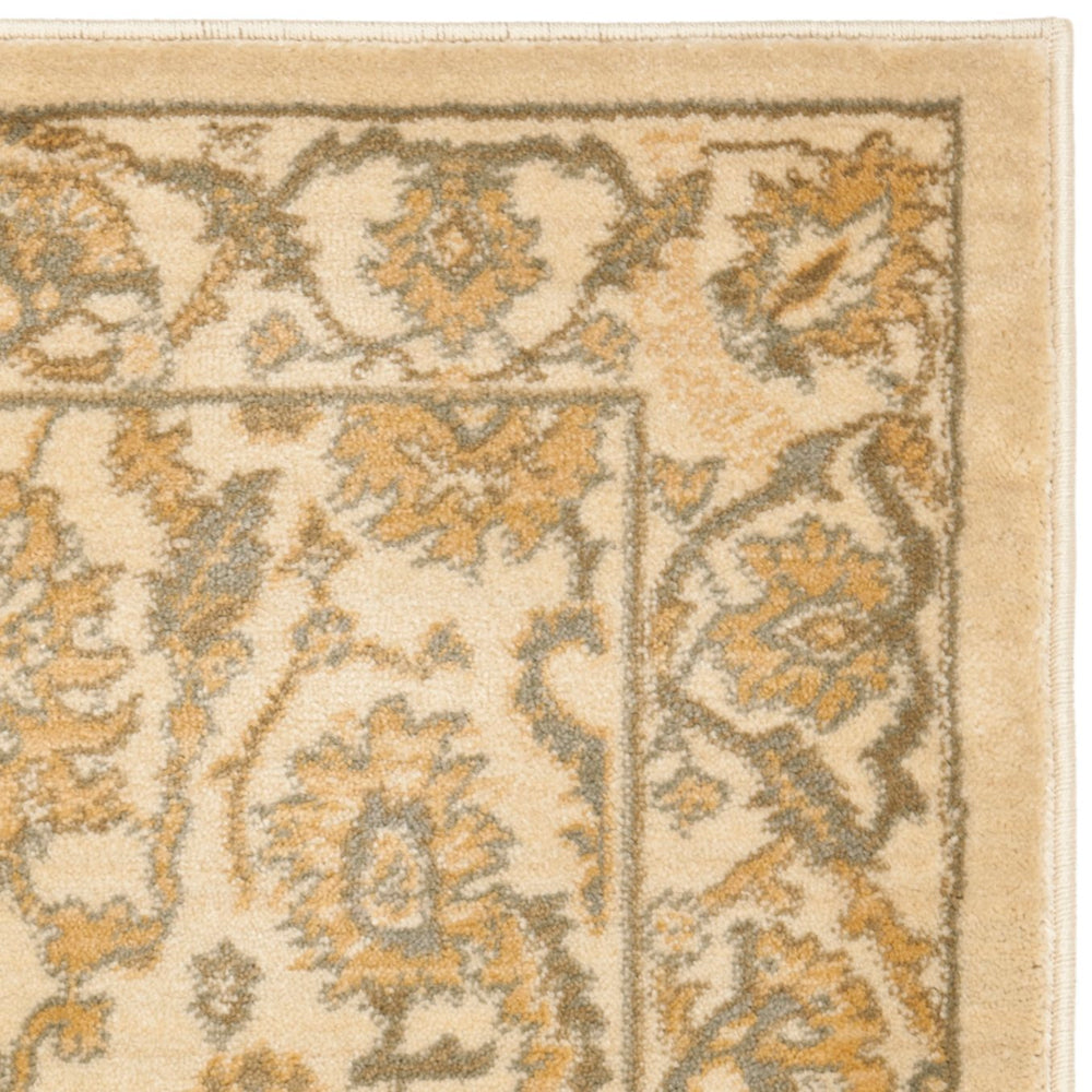 Safavieh Hlm1666 651 Power Loomed Rug