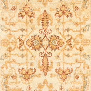 Safavieh Hlm1666 651 Power Loomed Rug