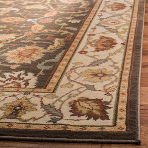 Safavieh Hlm1666 651 Power Loomed Rug