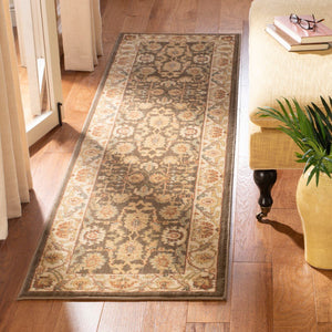 Safavieh Hlm1666 651 Power Loomed Rug