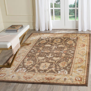 Safavieh Hlm1666 651 Power Loomed Rug