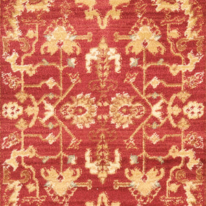 Safavieh Hlm1666 651 Power Loomed Rug