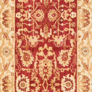 Safavieh Hlm1666 651 Power Loomed Rug