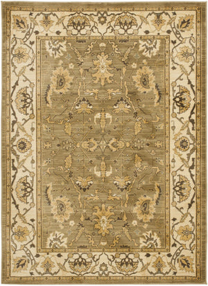 Safavieh Hlm1666 651 Power Loomed Rug