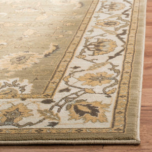 Safavieh Hlm1666 651 Power Loomed Rug