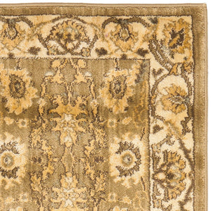 Safavieh Hlm1666 651 Power Loomed Rug