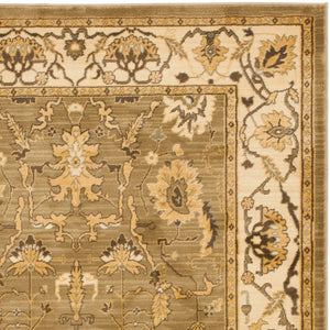 Safavieh Hlm1666 651 Power Loomed Rug