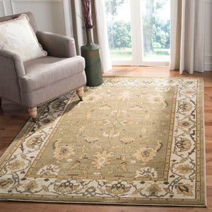 Safavieh Hlm1666 651 Power Loomed Rug