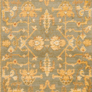 Safavieh Hlm1666 651 Power Loomed Rug
