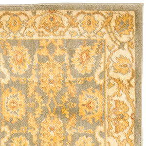 Safavieh Hlm1666 651 Power Loomed Rug