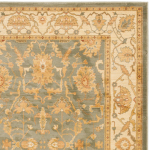 Safavieh Hlm1666 651 Power Loomed Rug