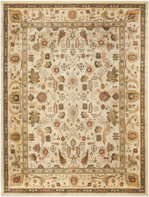 Safavieh Hlm1740 651 Power Loomed Rug