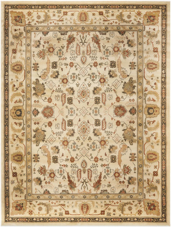 Safavieh Hlm1740 651 Power Loomed Rug