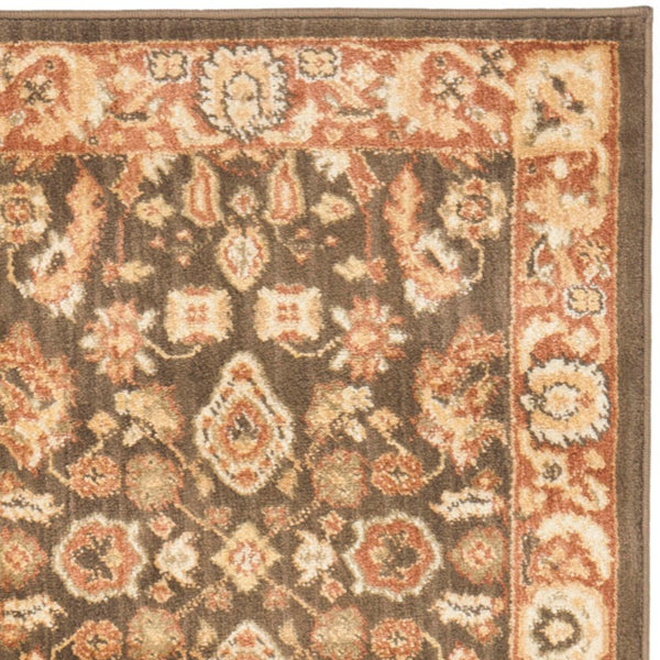 Safavieh Hlm1740 651 Power Loomed Rug