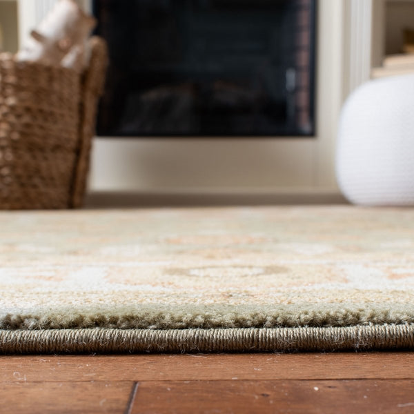 Safavieh Hlm1740 651 Power Loomed Rug