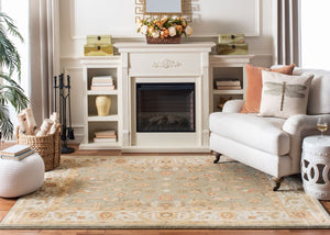 Safavieh Hlm1740 651 Power Loomed Rug