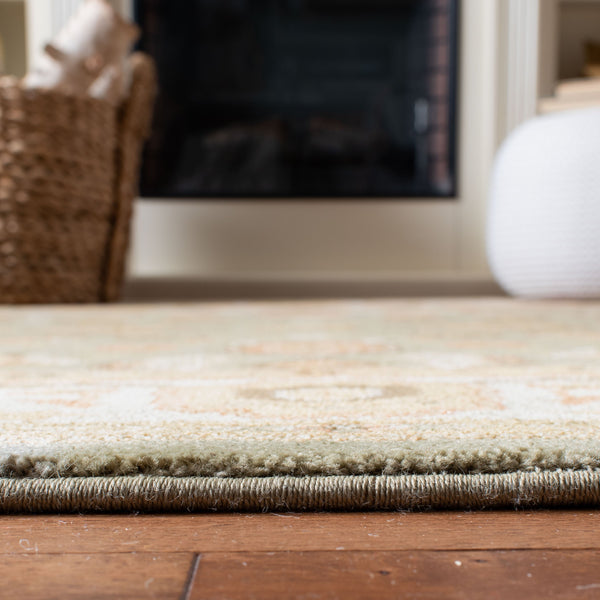 Safavieh Hlm1740 651 Power Loomed Rug