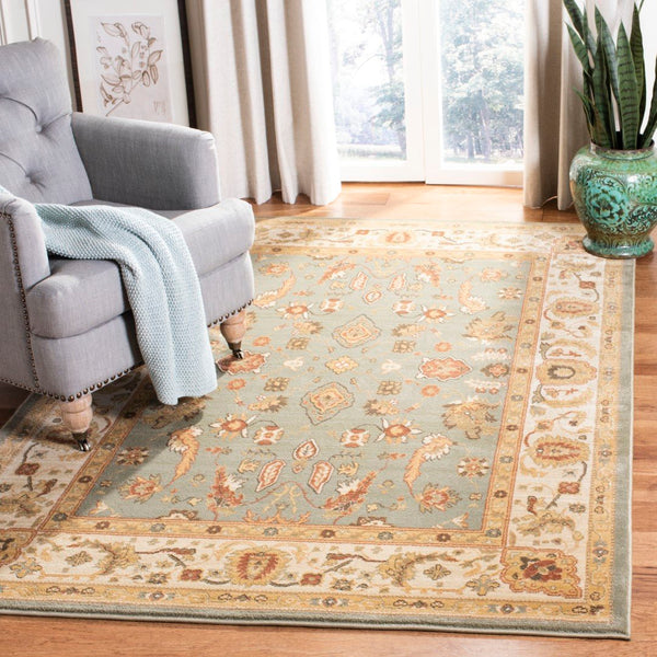 Safavieh Hlm1740 651 Power Loomed Rug