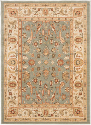 Safavieh Hlm1740 651 Power Loomed Rug