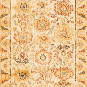 Safavieh Hlm1741 651 Power Loomed Rug