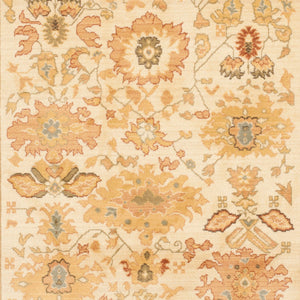 Safavieh Hlm1741 651 Power Loomed Rug