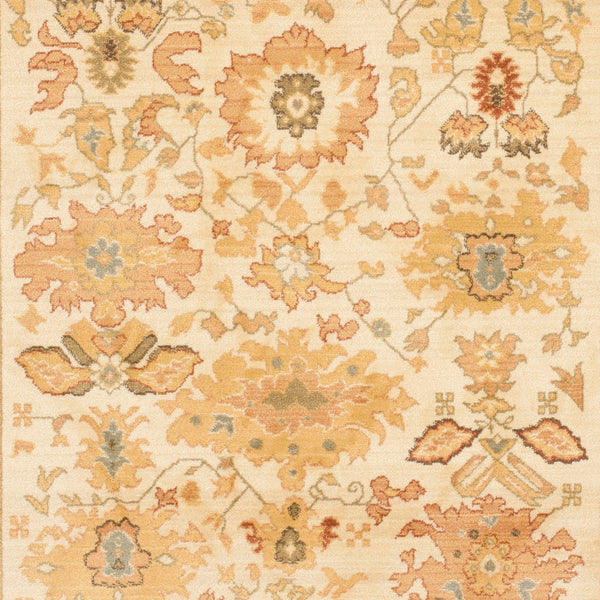 Safavieh Hlm1741 253 Power Loomed Rug