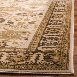 Safavieh Hlm1741 651 Power Loomed Rug