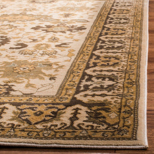 Safavieh Hlm1741 253 Power Loomed Rug