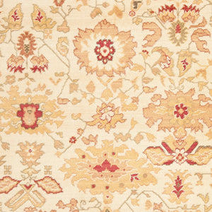 Safavieh Hlm1741 651 Power Loomed Rug