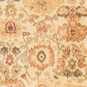 Safavieh Hlm1741 253 Power Loomed Rug