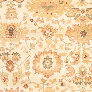 Safavieh Hlm1741 651 Power Loomed Rug