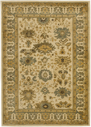 Safavieh Hlm1741 651 Power Loomed Rug