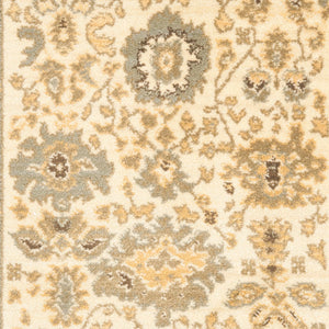 Safavieh Hlm1741 253 Power Loomed Rug