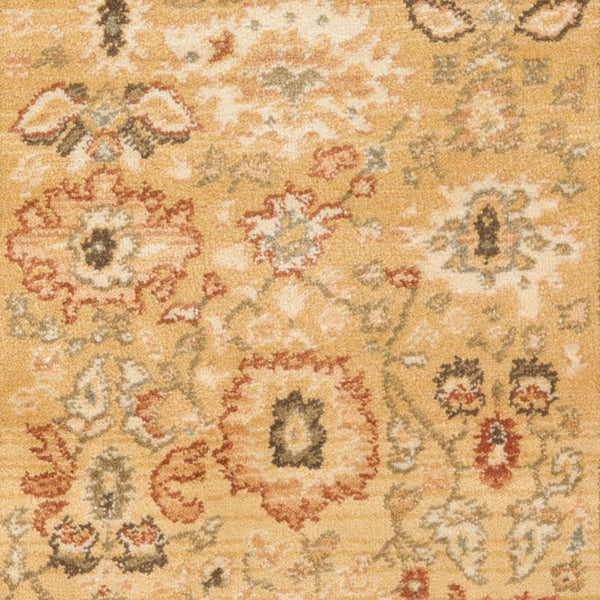 Safavieh Hlm1741 253 Power Loomed Rug