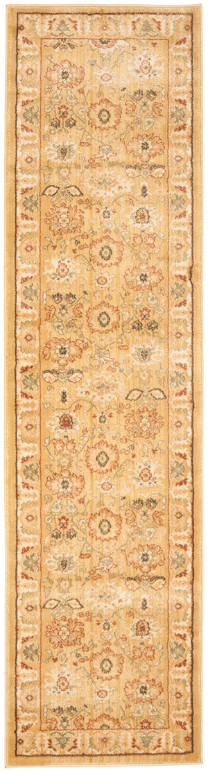 Safavieh Hlm1741 253 Power Loomed Rug